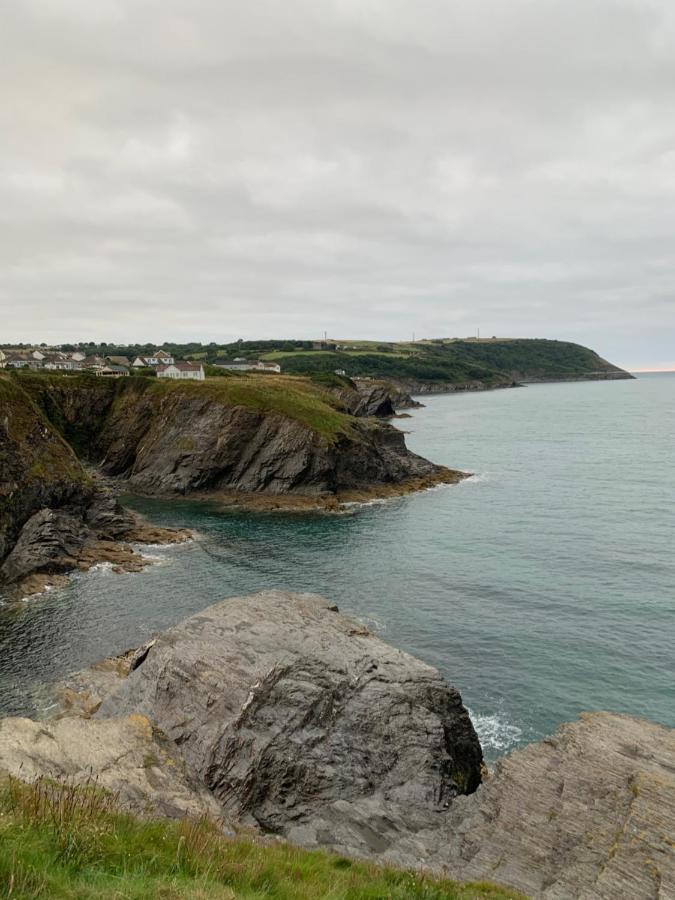 Wild Coastal Retreat At Troed Y Rhiw Aberporth, West Wales Villa Eksteriør bilde