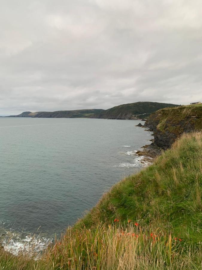 Wild Coastal Retreat At Troed Y Rhiw Aberporth, West Wales Villa Eksteriør bilde
