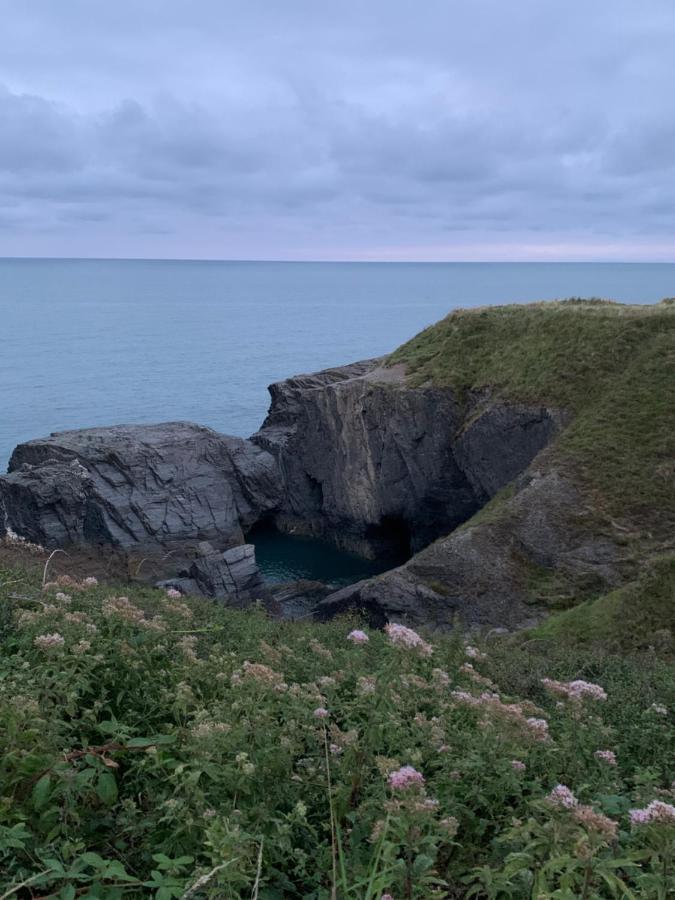 Wild Coastal Retreat At Troed Y Rhiw Aberporth, West Wales Villa Eksteriør bilde