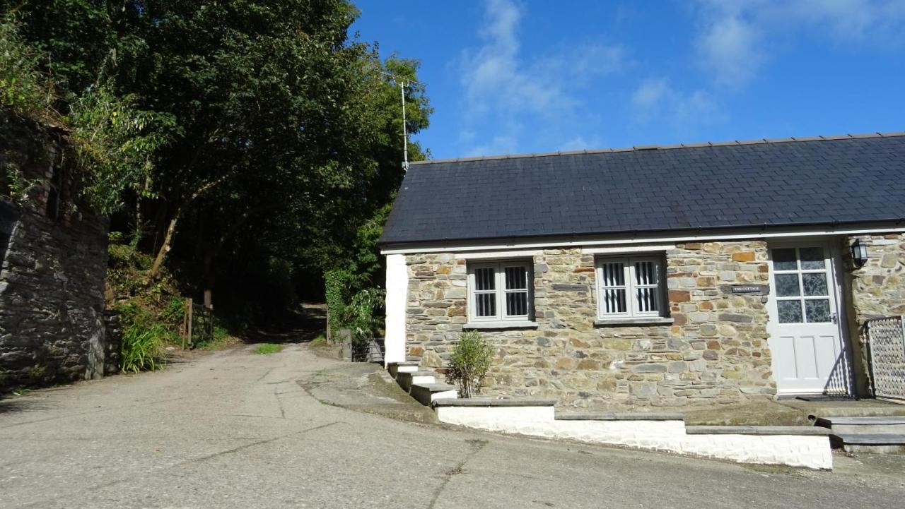 Wild Coastal Retreat At Troed Y Rhiw Aberporth, West Wales Villa Eksteriør bilde