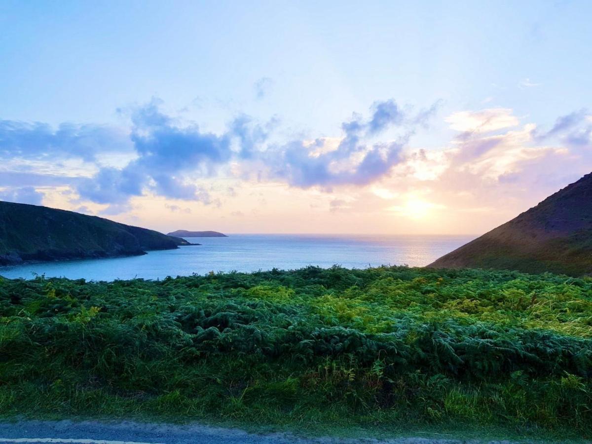 Wild Coastal Retreat At Troed Y Rhiw Aberporth, West Wales Villa Eksteriør bilde